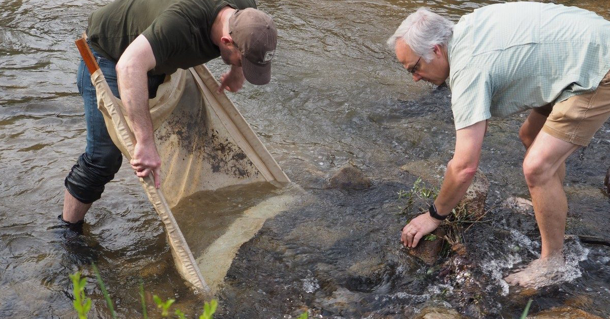 Dr. Brown and Dr. Haak sampling water invertebrates