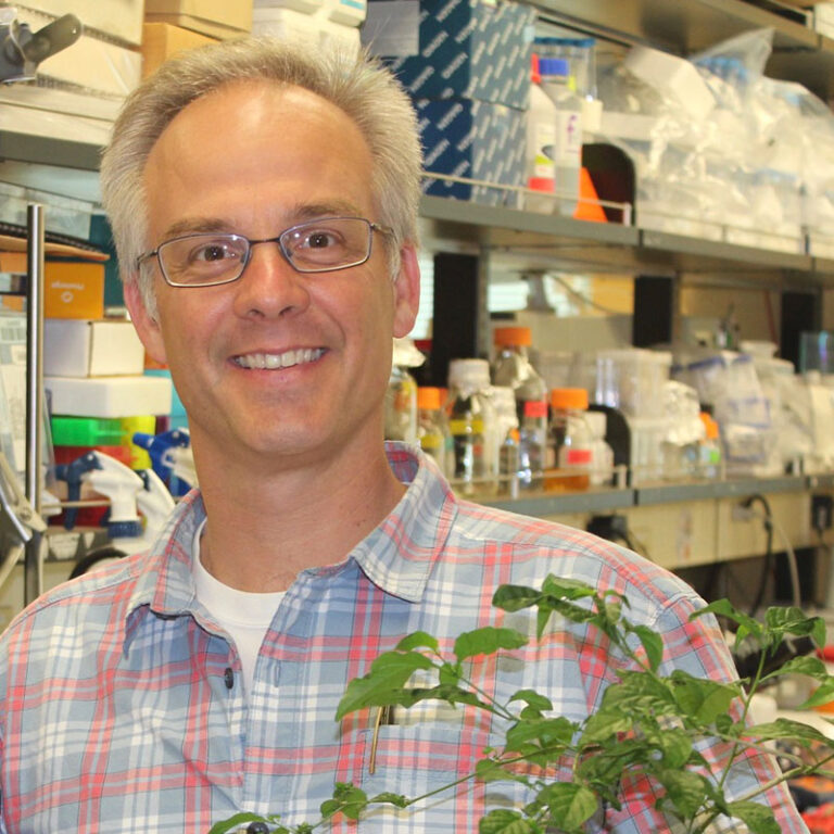Headshot of Dr. David Haak