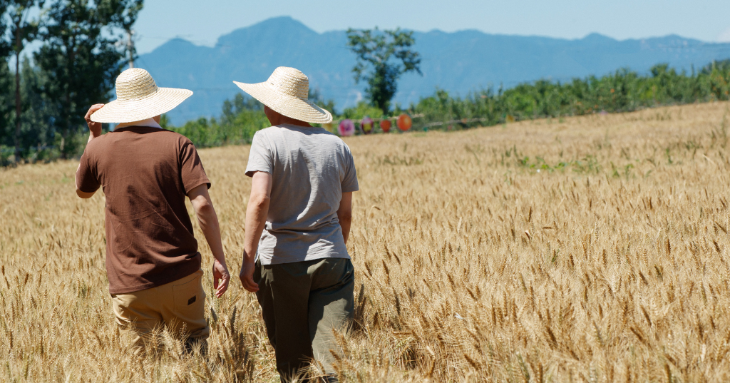 People in a field