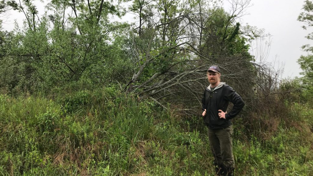 Chris Fields-Johnson stands next to the invasive autumn olive. Photo by Sara Klopf for Virginia Tech.