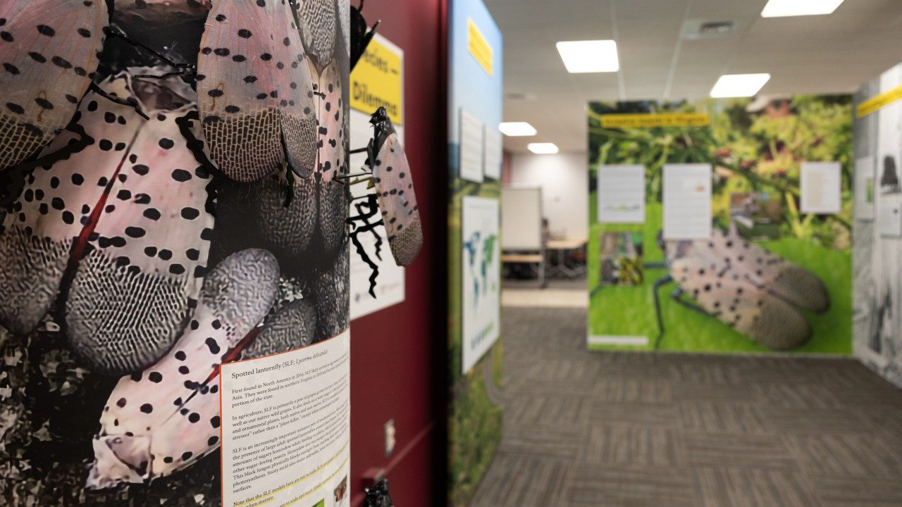 Newman Library invasive species exhibit