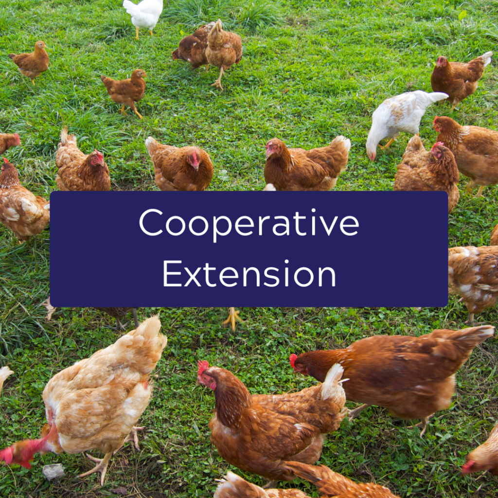 Virginia Cooperative Extension