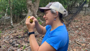Haldre Rogers inspects a seed to analyze how invasive species have changed seed dispersal. Photo courtesy of Haldre Rogers.