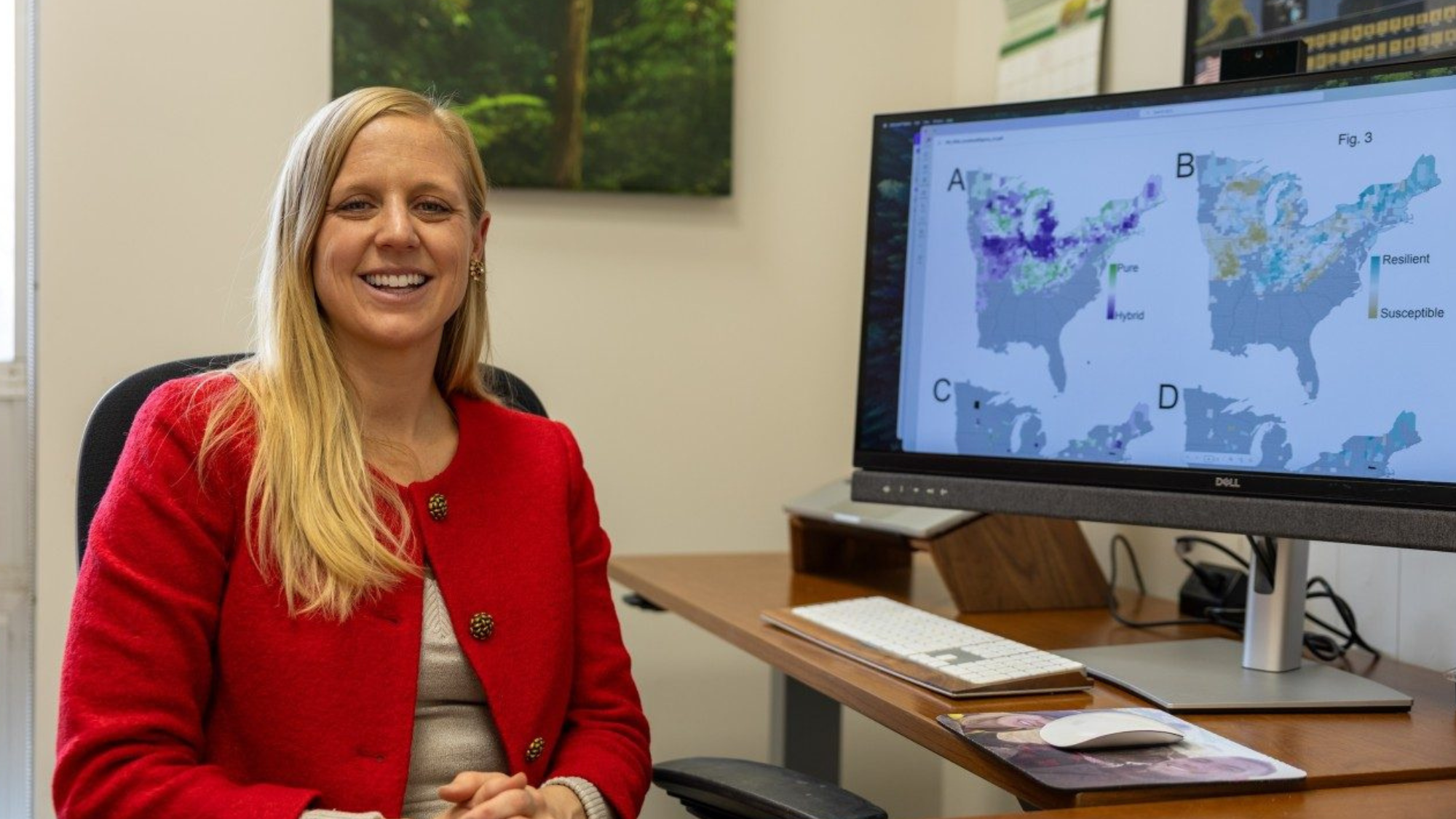 Carrie Fearer shows models of the endangered butternut tree on her computer. Photo by Max Esterhuizen for Virginia Tech.