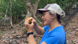Haldre Rogers inspects a bird to analyze how invasive species have changed seed dispersal. Photo courtesy of Haldre Rogers.