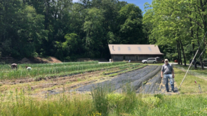 A landowner in North Carolina participated in the U.S. Fish and Wildlife Service's Partners for Fish and Wildlife Program. Photo courtesy of Michael Sorice.